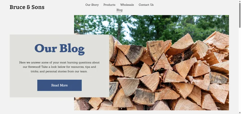 The Bruce & Sons Blog landing page, introducing the site's ongoing firewood content.